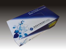金融通讯系列-1