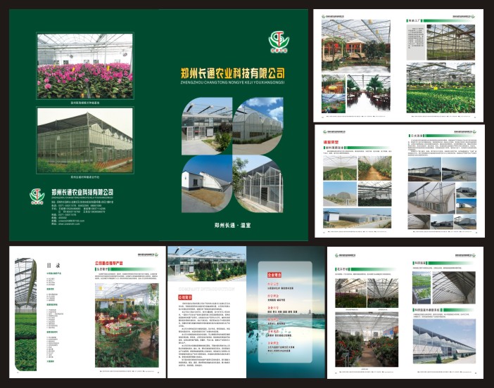 大图-2.jpg